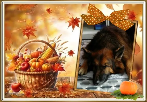Condolence image of Dobrej Nocki❤️❤️❤️❤️❤️❤️mój Ukochany❤️❤️❤️❤️❤️❤️Misieńku❤️❤️❤️