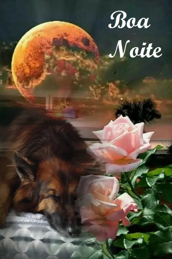 Condolence image of Dobrej Nocki❤️❤️❤️❤️❤️❤️mój Ukochany❤️❤️❤️❤️❤️❤️Misieńku❤️❤️❤️