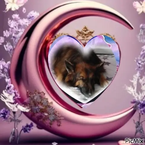 Condolence image of Dobrej Nocki❤️❤️❤️❤️❤️❤️mój Ukochany❤️❤️❤️❤️❤️❤️Misieńku❤️❤️❤️