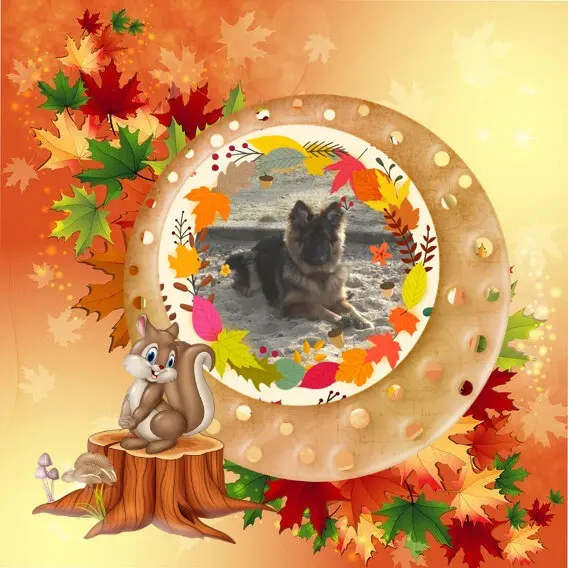 Condolence image of Kocham❤️❤️❤️❤️❤️❤️❤️Cię❤️❤️❤️⭐️Misieńku❤️❤️❤️⭐️