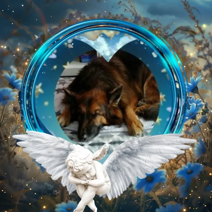 Condolence image of Dobrej Nocki❤️❤️❤️❤️❤️❤️mój Ukochany❤️❤️❤️❤️❤️❤️Misieńku❤️❤️❤️