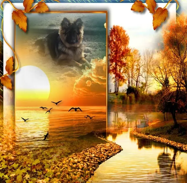 Condolence image of Dzień Dobry❤️❤️❤️mój Ukochany❤️❤️❤️❤️❤️❤️❤️Misieńku❤️❤️❤️