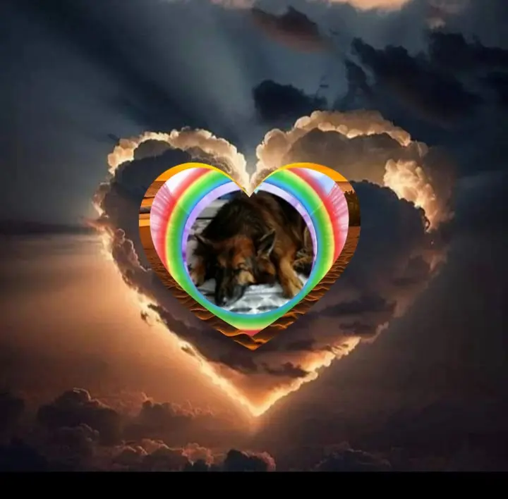 Condolence image of Dobrej Nocki❤️❤️❤️❤️❤️❤️mój Ukochany❤️❤️❤️❤️❤️❤️Misieńku❤️❤️❤️