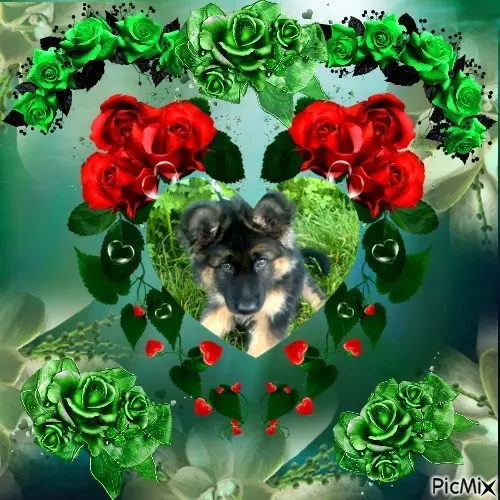 Condolence image of Dzień Dobry❤️❤️❤️mój Ukochany❤️❤️❤️❤️❤️❤️❤️Misieńku❤️❤️❤️