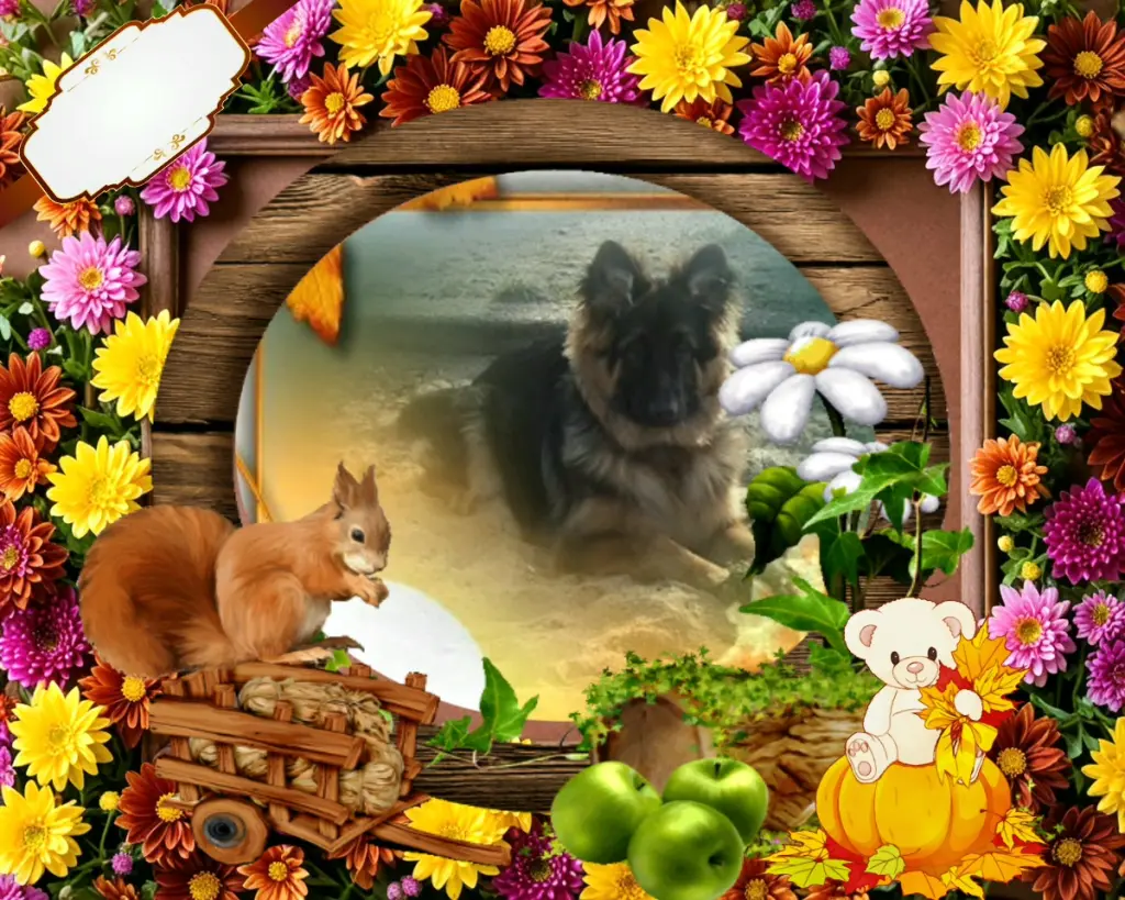 Condolence image of Dzień Dobry❤️❤️❤️mój Ukochany❤️❤️❤️❤️❤️❤️❤️Misieńku❤️❤️❤️