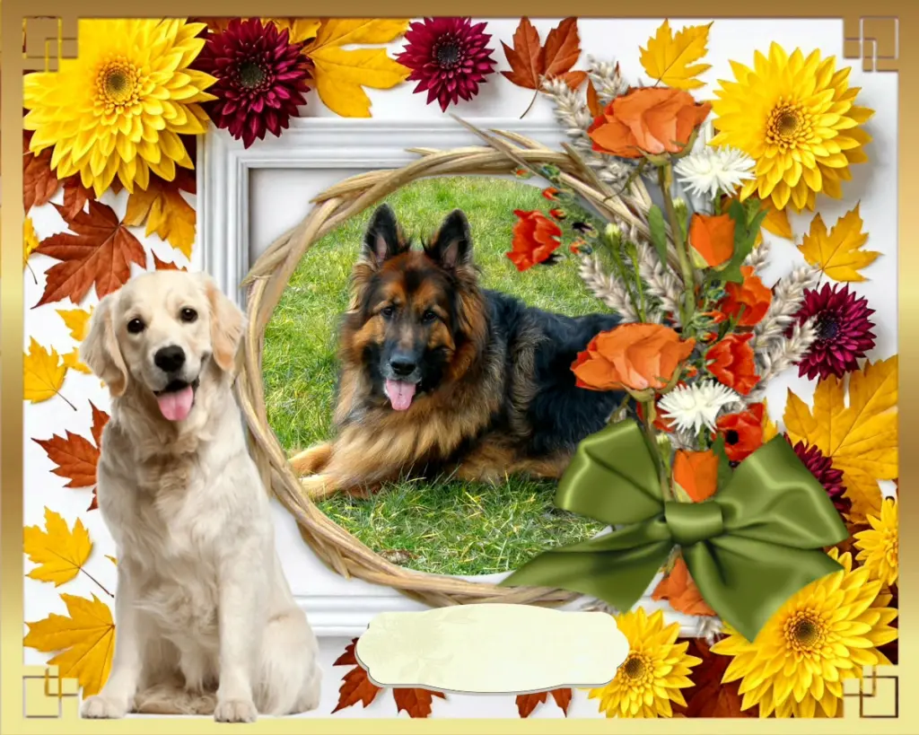 Condolence image of Dzień Dobry❤️❤️❤️mój Ukochany❤️❤️❤️❤️❤️❤️❤️Misieńku❤️❤️❤️