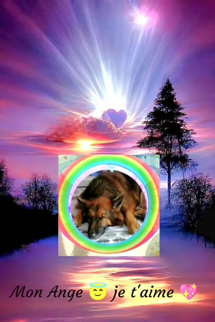 Condolence image of Dobrej Nocki❤️❤️❤️❤️❤️❤️mój Ukochany❤️❤️❤️❤️❤️❤️Misieńku❤️❤️❤️