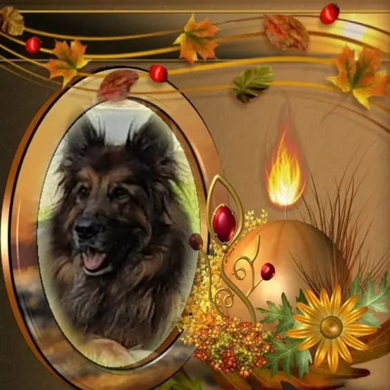 Condolence image of Dzień Dobry❤️❤️❤️mój Ukochany❤️❤️❤️❤️❤️❤️❤️Misieńku❤️❤️❤️