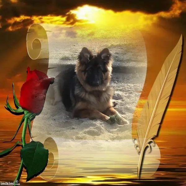 Condolence image of Dobry Wieczór❤️❤️❤️Mińku❤️❤️❤️