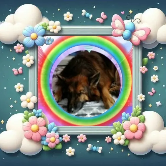 Condolence image of Dobrej Nocki❤️❤️❤️❤️❤️❤️mój Ukochany❤️❤️❤️❤️❤️❤️Misieńku❤️❤️❤️