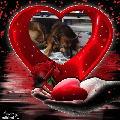 Condolence image of Dobrej Nocki❤️❤️❤️❤️❤️❤️mój Ukochany❤️❤️❤️❤️❤️❤️Misieńku❤️❤️❤️
