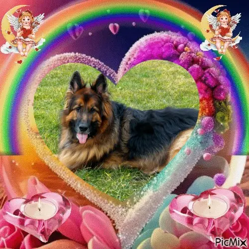 Condolence image of Dzień Dobry❤️❤️❤️mój Ukochany❤️❤️❤️❤️❤️❤️❤️❤️❤️❤️Misieńku❤️❤️❤️⭐️