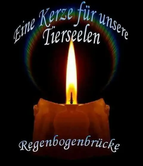Condolence image of Claudia mit ASKO❤️