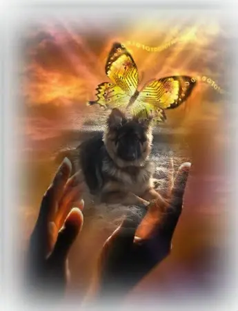 Condolence image of Dzień Dobry❤️❤️❤️mój Ukochany❤️❤️❤️❤️❤️❤️❤️Mińku❤️❤️❤️⭐️