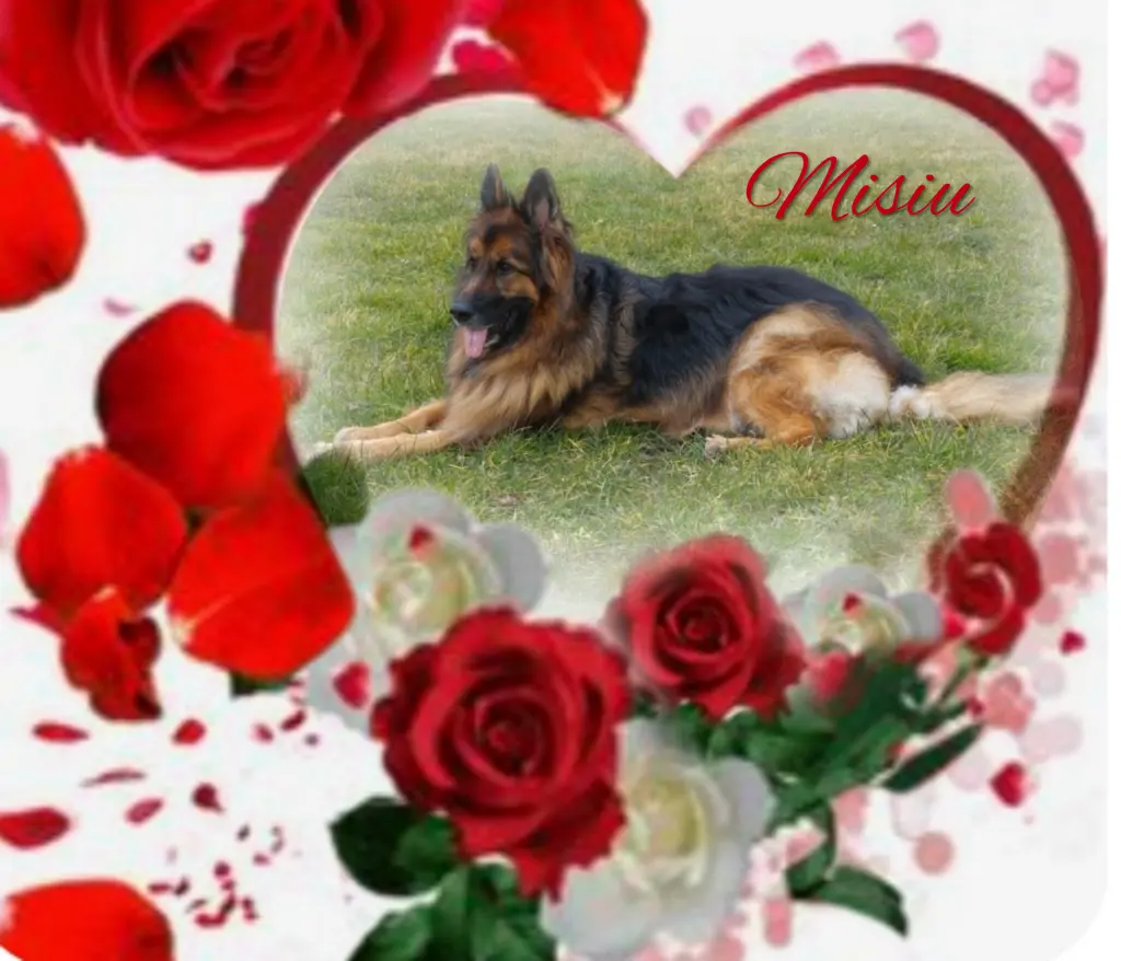 Condolence image of Niedziela...339 tygodni bez Ciebie♥️ kochany Misieńku♥️...