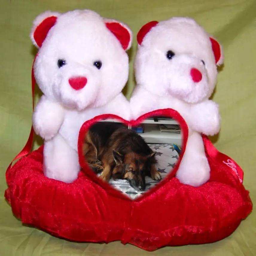 Condolence image of Dobrej Nocki❤️❤️❤️❤️❤️❤️mój Ukochany❤️❤️❤️❤️❤️❤️Misieńku❤️❤️❤️