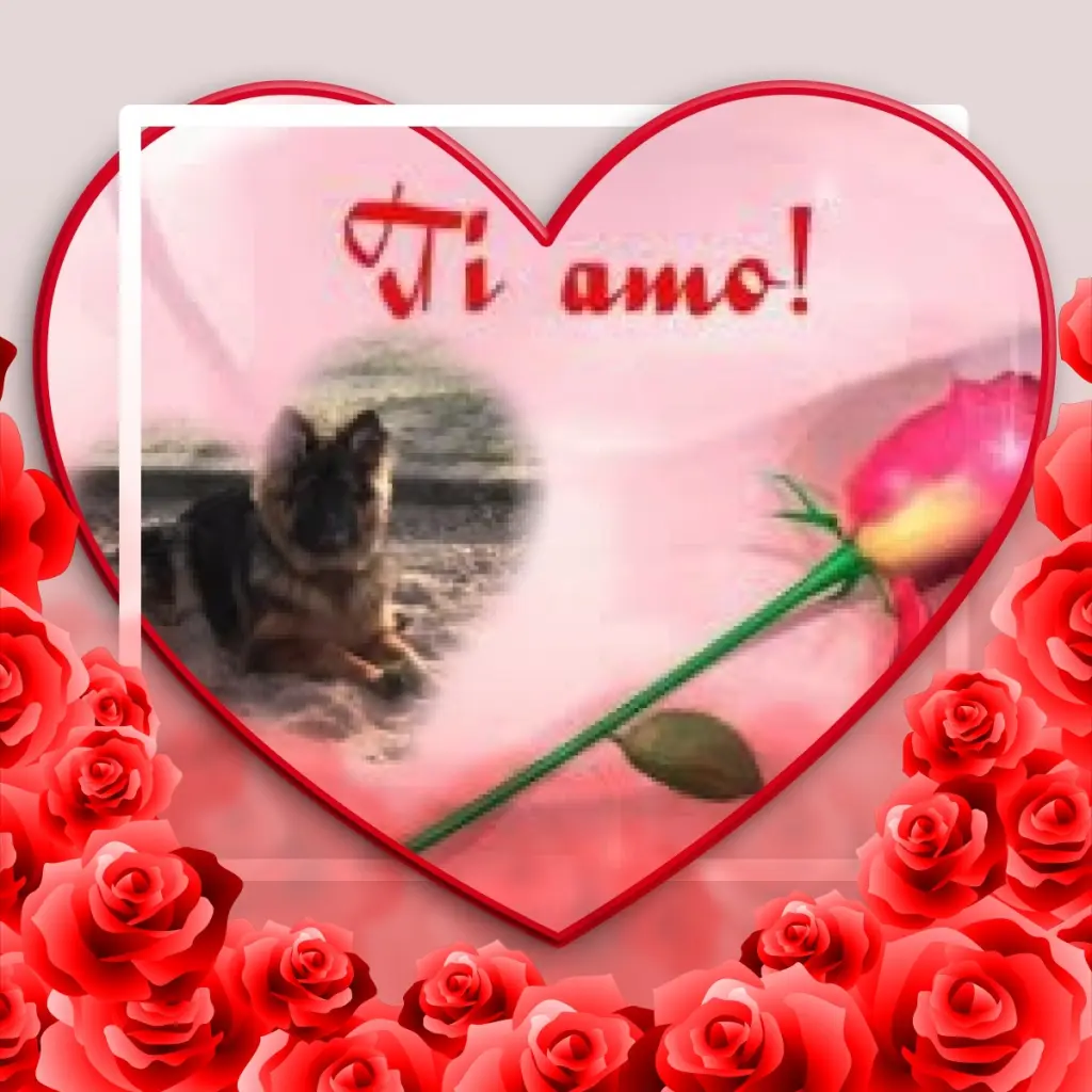 Condolence image of Dzień Dobry❤️❤️❤️mój Ukochany❤️❤️❤️❤️❤️❤️❤️Misieńku❤️❤️❤️