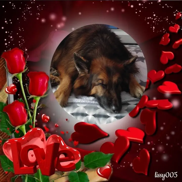 Condolence image of Dobrej Nocki❤️❤️❤️❤️❤️❤️mój Ukochany❤️❤️❤️❤️❤️❤️Misieńku❤️❤️❤️