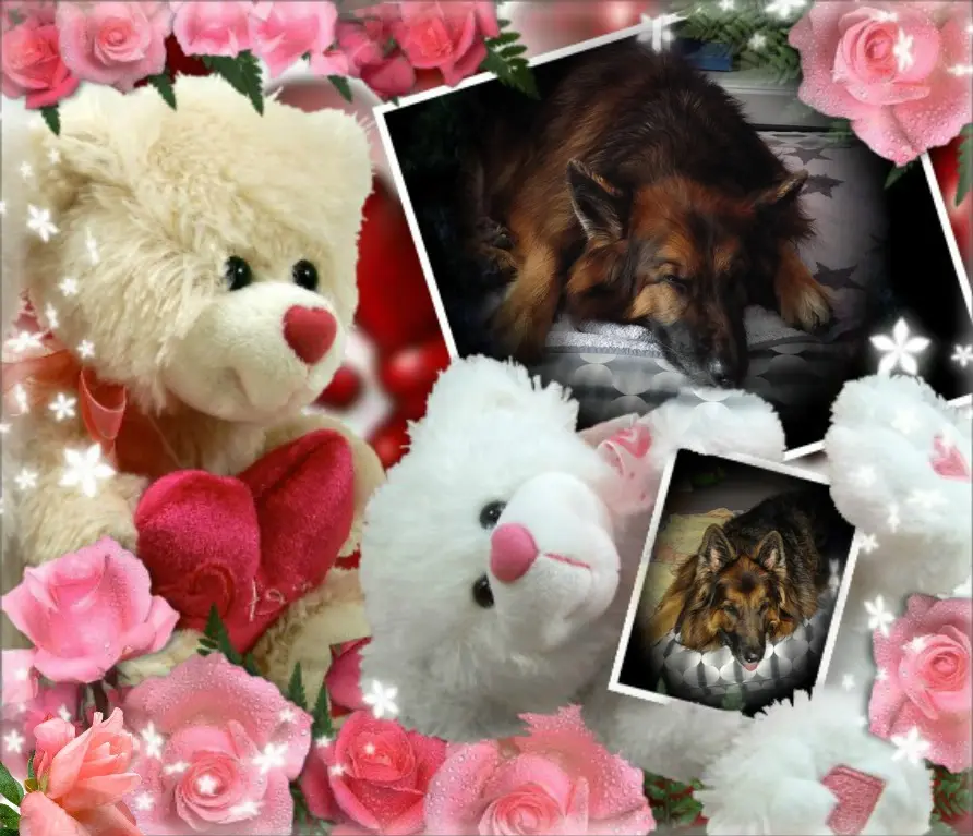 Condolence image of Dobrej Nocki❤️❤️❤️❤️❤️❤️mój Ukochany❤️❤️❤️❤️❤️❤️Misieńku❤️❤️❤️