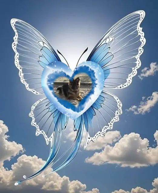 Condolence image of Dzień Dobry❤️❤️❤️mój Ukochany❤️❤️❤️❤️❤️❤️❤️Misieńku❤️❤️❤️