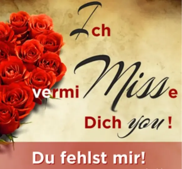 Condolence image of Sonntag...341 Wochen ohne Dich♥️ lieber Misiu♥️... 