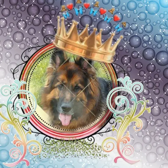 Condolence image of Dzień Dobry❤️❤️❤️mój Ukochany❤️❤️❤️❤️❤️❤️❤️Misieńku❤️❤️❤️