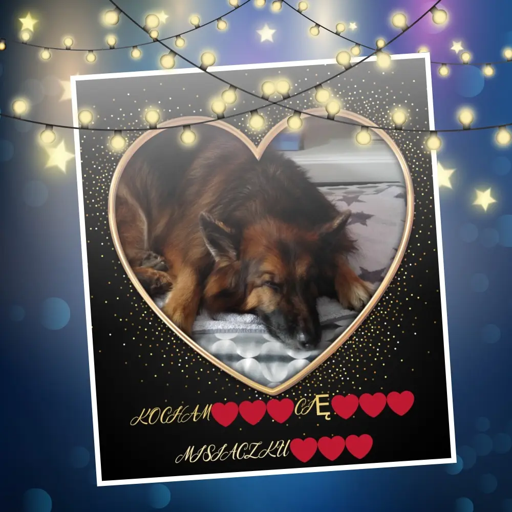 Condolence image of Dobrej Nocki❤️❤️❤️❤️❤️❤️mój Ukochany❤️❤️❤️❤️❤️❤️Misieńku❤️❤️❤️