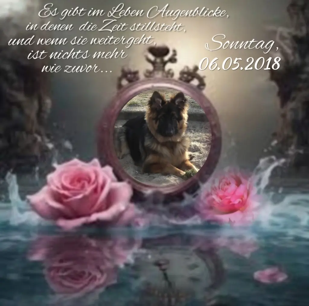 Condolence image of Niedziela,  342 tygodnie bez Ciebie♥️ kochany Misieńku♥️...