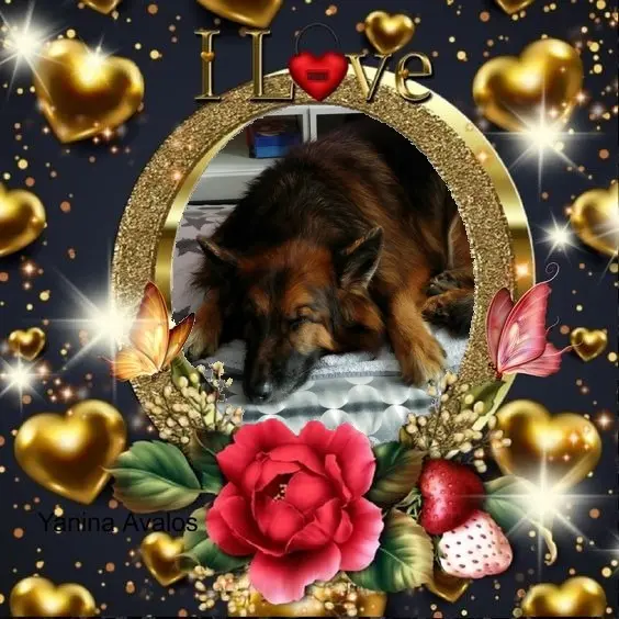 Condolence image of Dobrej Nocki❤️❤️❤️❤️❤️❤️mój Ukochany❤️❤️❤️❤️❤️❤️Misieńku❤️❤️❤️