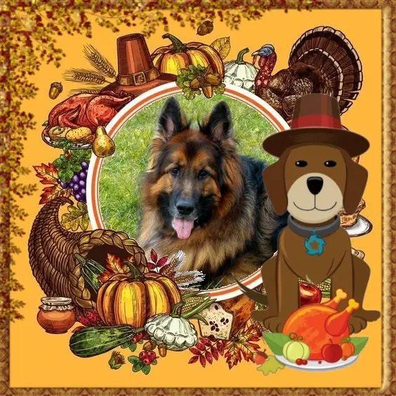 Condolence image of Dzień Dobry❤️❤️❤️mój Ukochany❤️❤️❤️❤️❤️❤️❤️Misieńku❤️❤️❤️