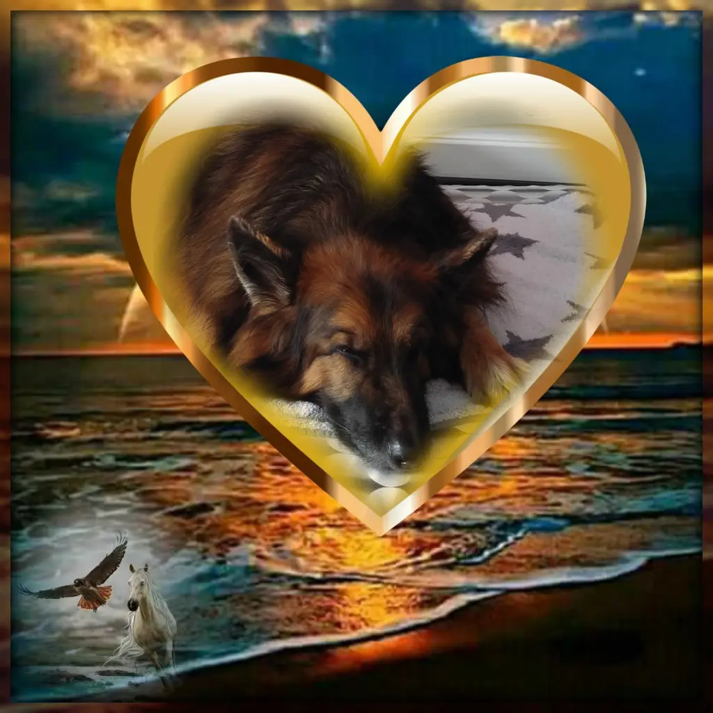 Condolence image of Dobrej Nocki❤️❤️❤️❤️❤️❤️mój Ukochany❤️❤️❤️❤️❤️❤️Misieńku❤️❤️❤️