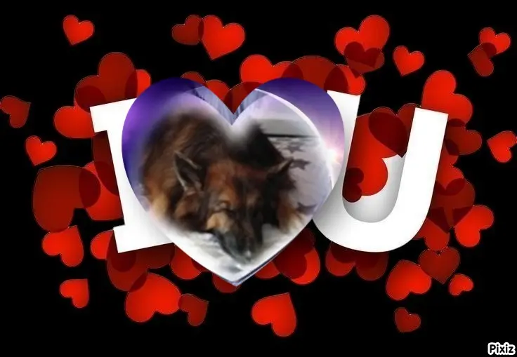 Condolence image of Dobrej Nocki❤️❤️❤️❤️❤️❤️mój Ukochany❤️❤️❤️❤️❤️❤️Misieńku❤️❤️❤️