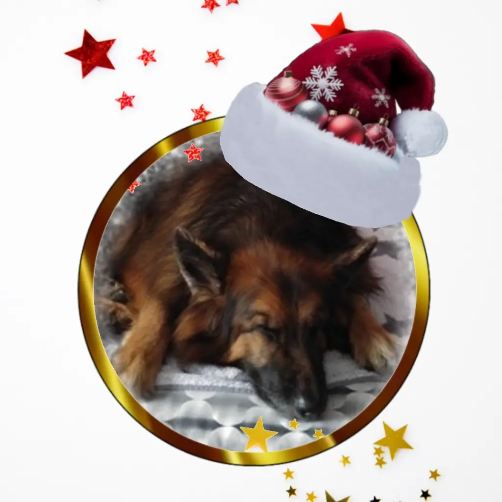 Condolence image of Dobrej Nocki❤️❤️❤️❤️❤️❤️mój Ukochany❤️❤️❤️❤️❤️❤️Misieńku❤️❤️❤️