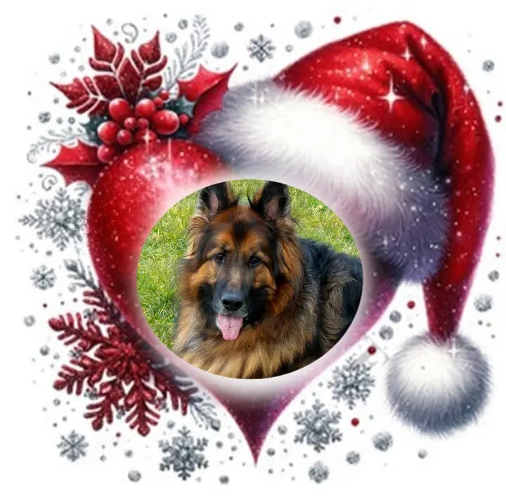 Condolence image of Dzień Dobry❤️❤️❤️mój Ukochany❤️❤️❤️❤️❤️❤️❤️Misieńku❤️❤️❤️