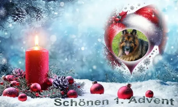 Condolence image of 1.Advent❤️Misieńku❤️❤️❤️⭐️