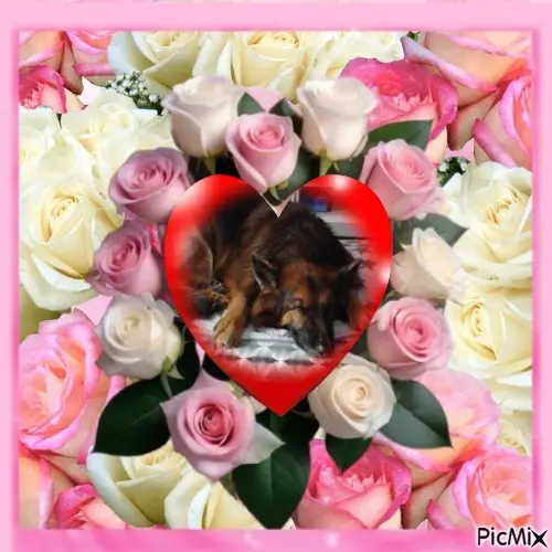 Condolence image of Dobrej Nocki❤️❤️❤️❤️❤️❤️mój Ukochany❤️❤️❤️❤️❤️❤️Misieńku❤️❤️❤️