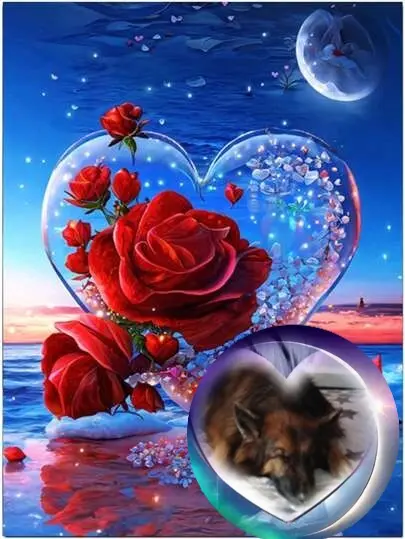 Condolence image of Dobrej Nocki❤️❤️❤️❤️❤️❤️mój Ukochany❤️❤️❤️❤️❤️❤️Misieńku❤️❤️❤️
