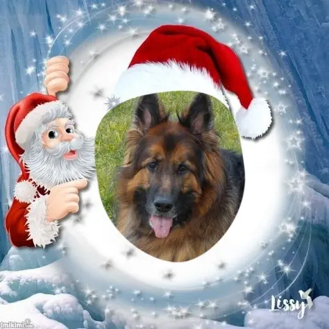 Condolence image of Dzień Dobry❤️❤️❤️mój Ukochany❤️❤️❤️❤️❤️❤️❤️Misieńku❤️❤️❤️