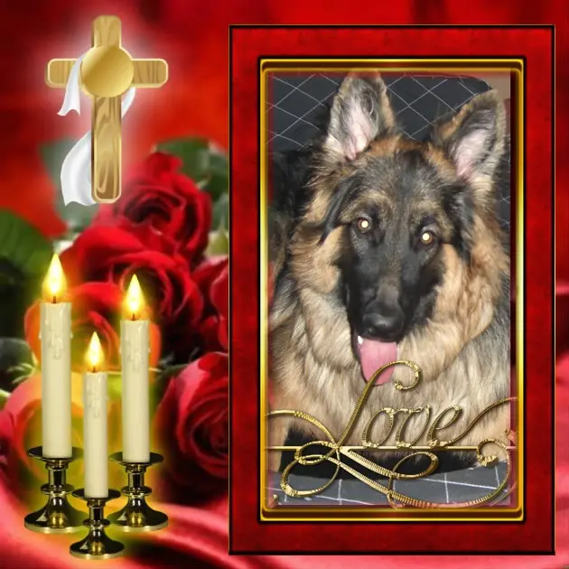Condolence image of Dobry Wieczór❤️❤️❤️Mińku❤️❤️❤️