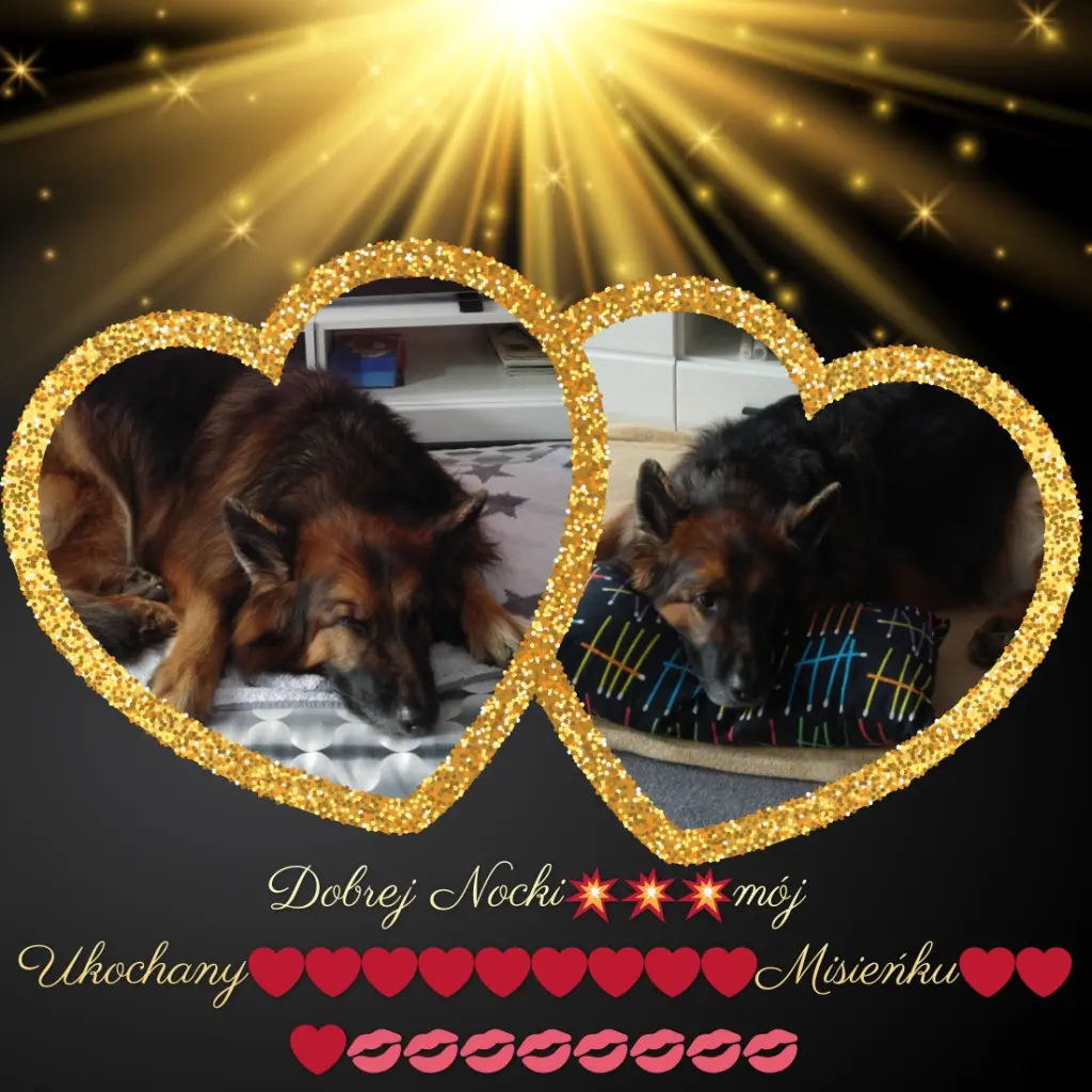 Condolence image of Dobrej Nocki❤️❤️❤️❤️❤️❤️mój Ukochany❤️❤️❤️❤️❤️❤️Misieńku❤️❤️❤️