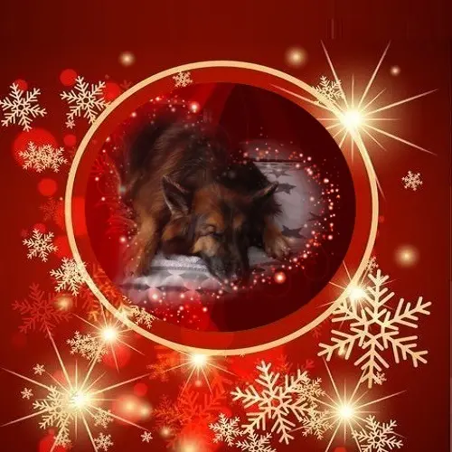 Condolence image of Dobrej Nocki❤️❤️❤️❤️❤️❤️mój Ukochany❤️❤️❤️❤️❤️❤️Misieńku❤️❤️❤️