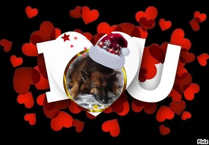 Condolence image of Dobrej Nocki❤️❤️❤️❤️❤️❤️mój Ukochany❤️❤️❤️❤️❤️❤️Misieńku❤️❤️❤️
