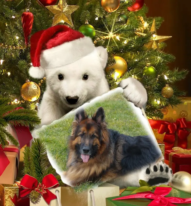 Condolence image of Dzień Dobry❤️❤️❤️mój Ukochany❤️❤️❤️❤️❤️❤️❤️Misieńku❤️❤️❤️