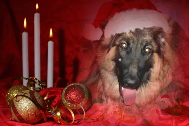 Condolence image of Dzień Dobry❤️❤️❤️mój Ukochany❤️❤️❤️❤️❤️❤️❤️Misieńku❤️❤️❤️