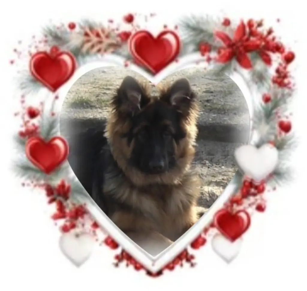 Condolence image of Niedziela, 345 tygodni bez Ciebie♥️ kochany Misieńku♥️...
