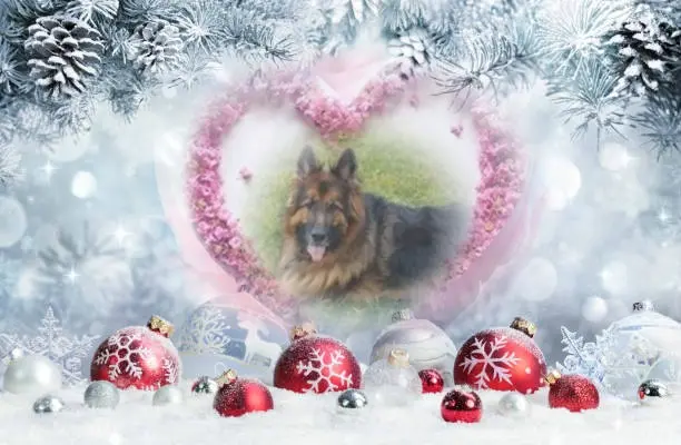 Condolence image of Dzień Dobry❤️❤️❤️mój Ukochany❤️❤️❤️❤️❤️❤️❤️Misieńku❤️❤️❤️