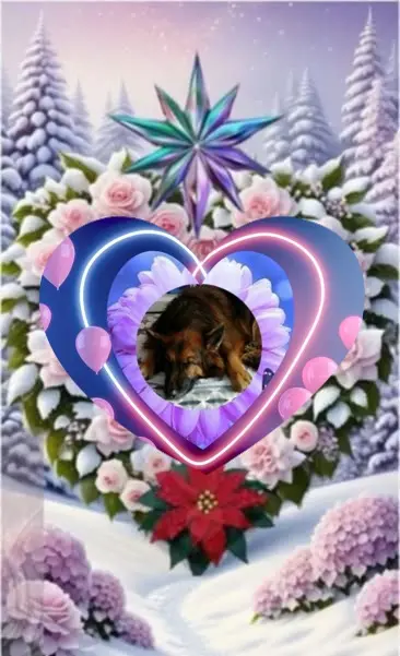 Condolence image of Dobrej Nocki❤️❤️❤️❤️❤️❤️mój Ukochany❤️❤️❤️❤️❤️❤️Misieńku❤️❤️❤️