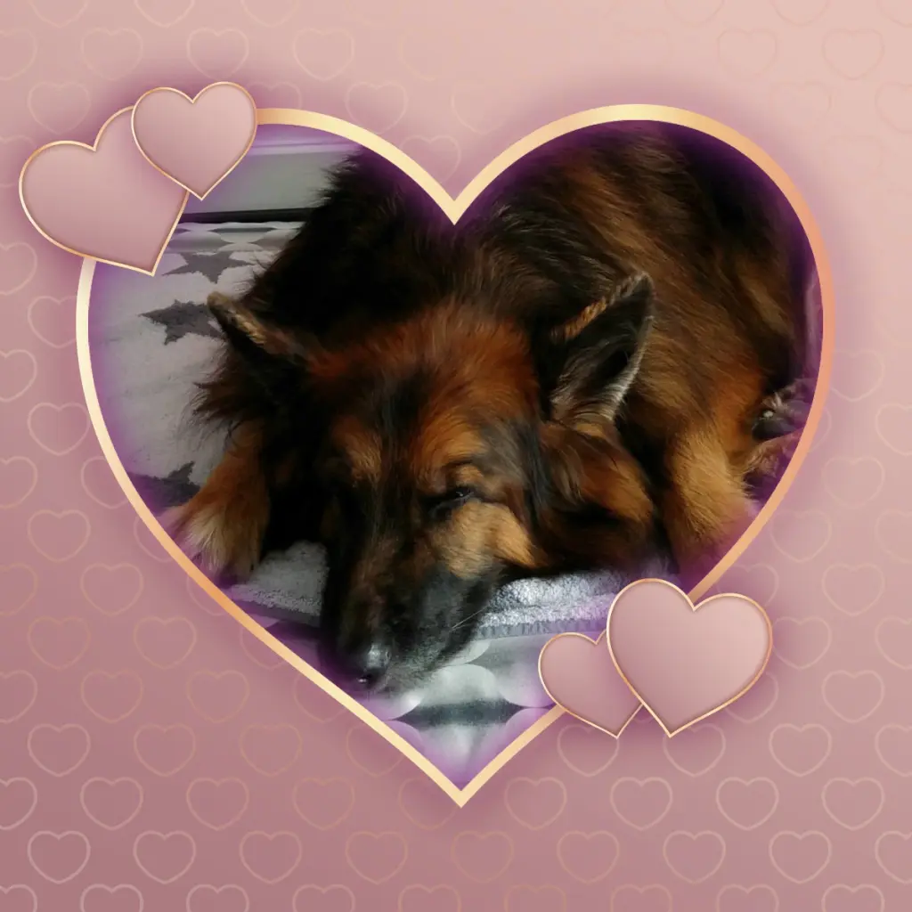 Condolence image of Dobrej Nocki❤️❤️❤️❤️❤️❤️mój Ukochany❤️❤️❤️❤️❤️❤️Misieńku❤️❤️❤️