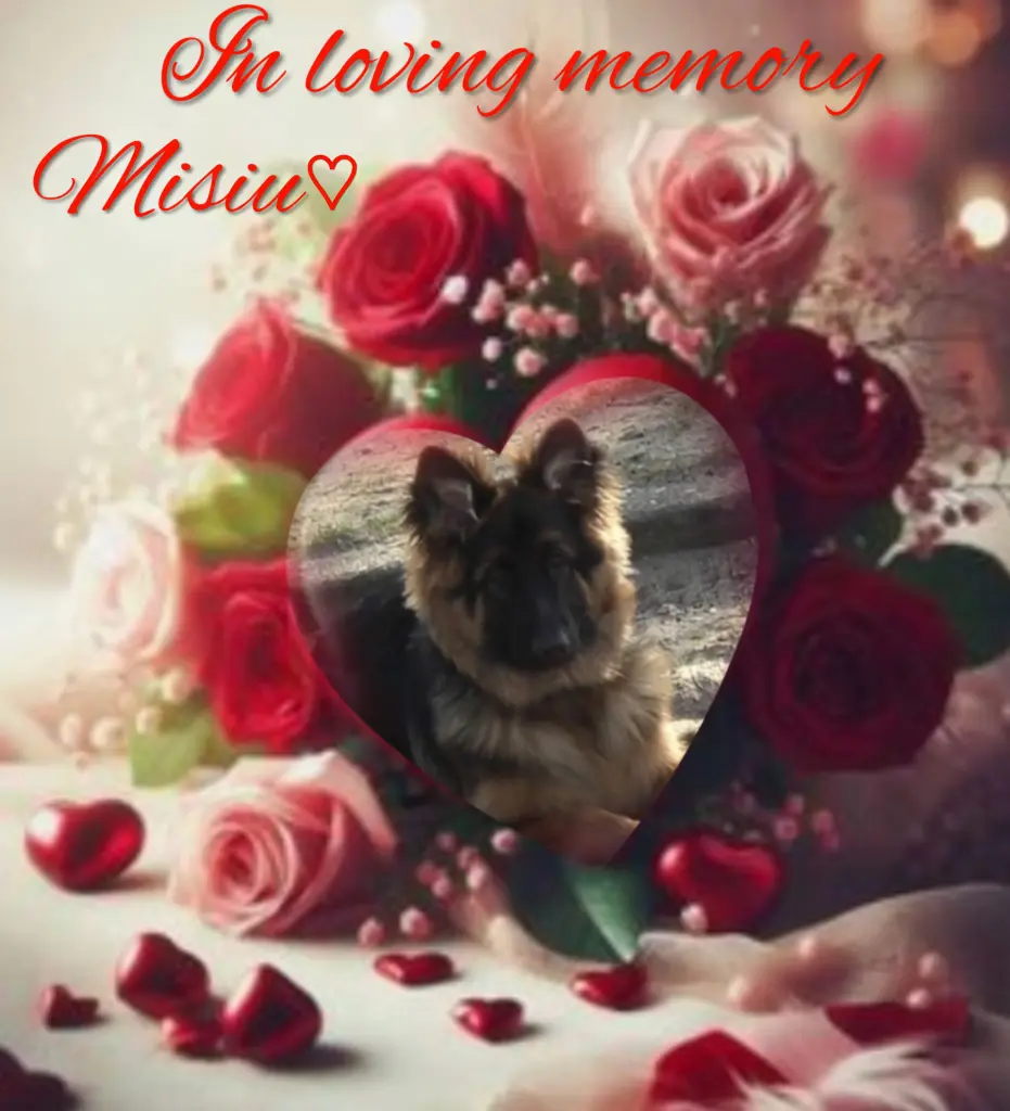 Condolence image of Niedziela, 348 tygodni bez Ciebie♥️ kochany Misieńku♥️