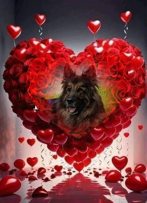 Condolence image of Dzień Dobry❤️❤️❤️mój Ukochany❤️❤️❤️❤️❤️❤️❤️Misieńku❤️❤️❤️